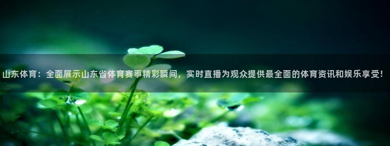 nba直播视频在线直播24直播网：山东体育：全面展示山东省体育赛事精彩瞬间，实时直播为观众提供最全面的体育资讯和娱乐享受！
