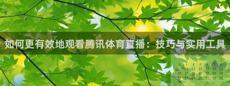 nba直播免费24直播网：如何更有效地观看腾讯体育直播：技巧与实用工具