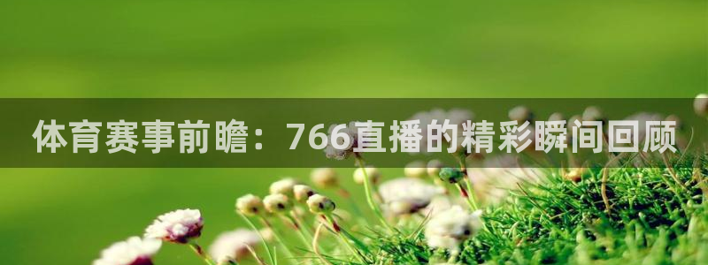 足球比赛24直播免费：体育赛事前瞻：766直播的精彩瞬间回顾
