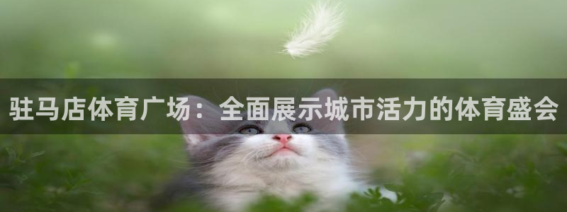 24直播网足球在线：驻马店体育广场：全面展示城市活力的体育盛会