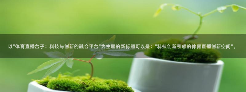 24直播网篮球：以\