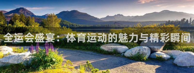 nba直播 24直播：全运会盛宴：体育运动的魅力与精彩瞬间