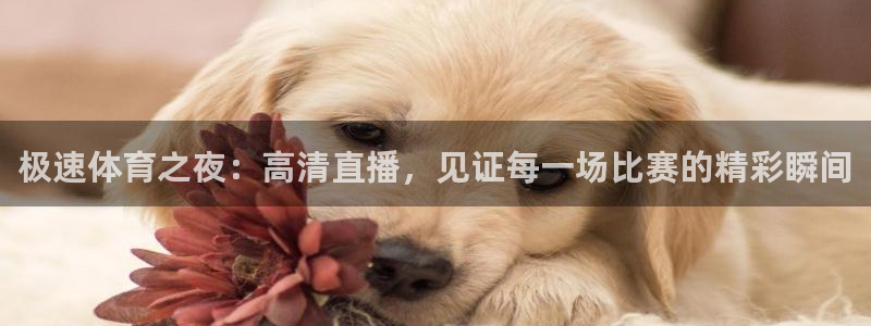 24直播网收费吗：极速体育之夜：高清直播，见证每一场比赛的精彩瞬间