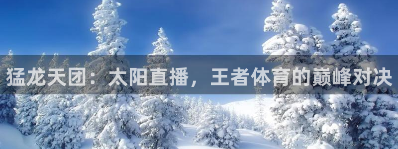 24直播 足球：猛龙天团：太阳直播，王者体育的巅峰对决