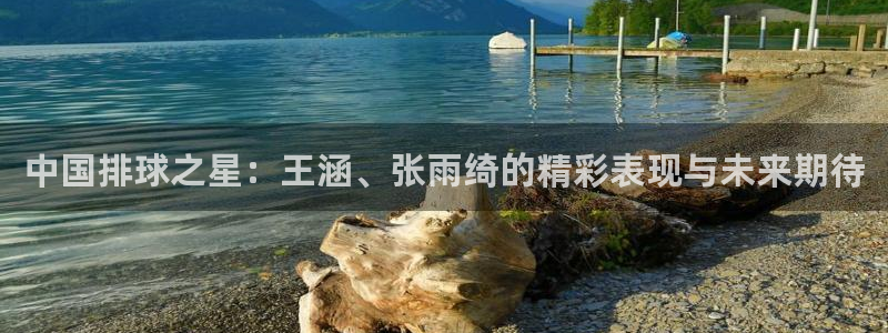 24直播nba免费观看：中国排球之星：王涵、张雨绮的精彩表现与未来期待